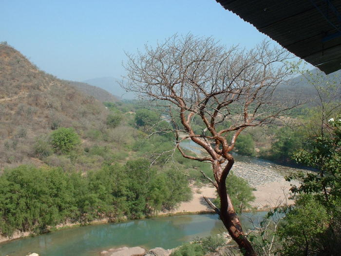 slideshow image